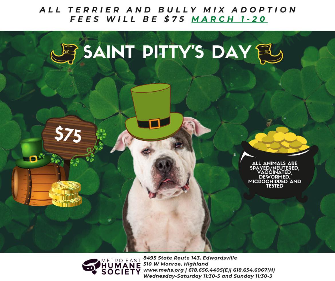 MEHumaneSociety's tweet photo. 🍀🌈🐾 https://t.co/hOG5mVqs3A