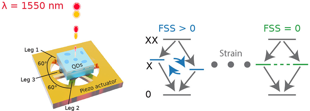 NanoLetters's tweet photo. Entangled photons from fine structure controlled quantum dots in the telecom C-band by @VZwiller @qthatkth @KTHuniversity in collaboration with M.Hammar, @SapienzaRoma, @jkulinz, @hqpd_joens.
https://t.co/AJk66Yx1Pe /#NLAR https://t.co/7t3aeUsN4n