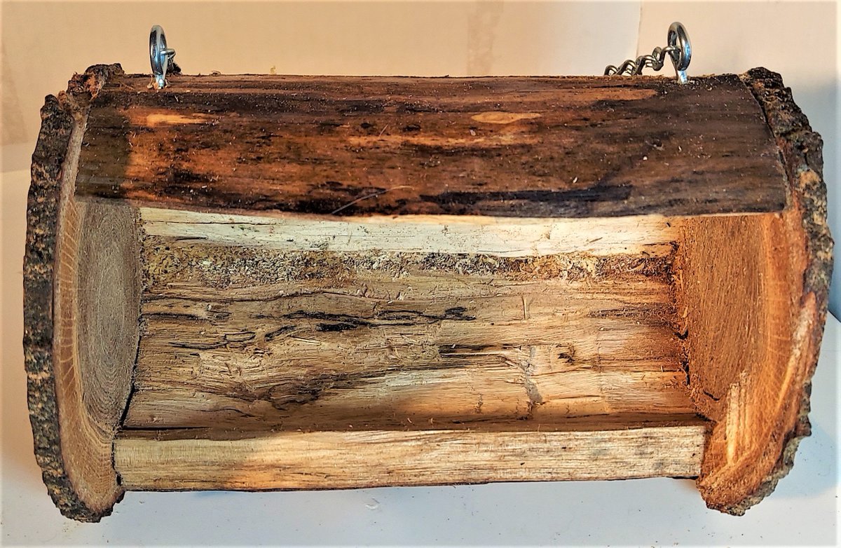 30secondsguy's tweet image. By popular demand, I have created some fun and quirky BIRDFEEDERS.  Check my #etsy site for more!   etsy.me/3M86lWx  #birdfeeder #recycledmaterials #hollowlog