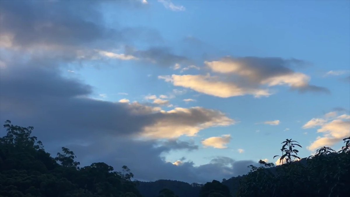 Moumin Lovable (@lovablemoumin) on Twitter photo 