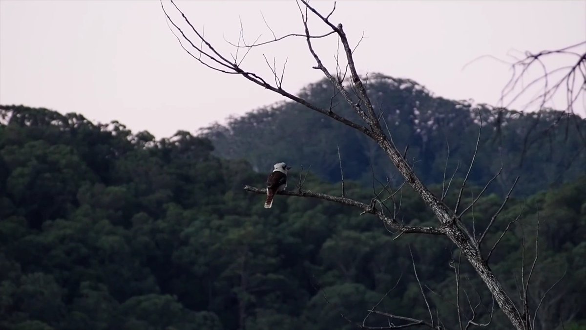 Moumin Lovable (@lovablemoumin) on Twitter photo 