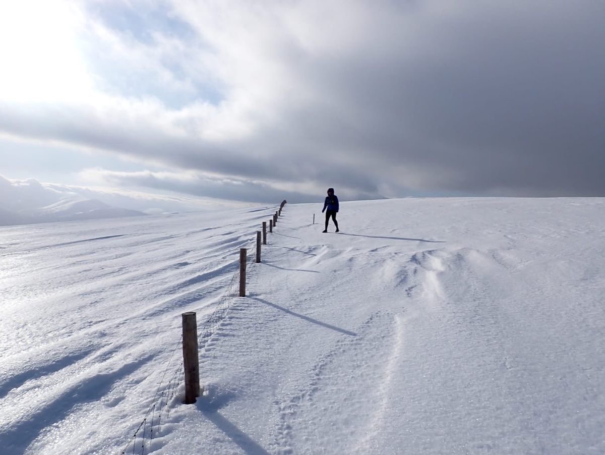 mountainringlet's tweet photo. The Cairngorms in winter - time to run, hike, ski and bike 💕 https://t.co/Y4TzwnR94h