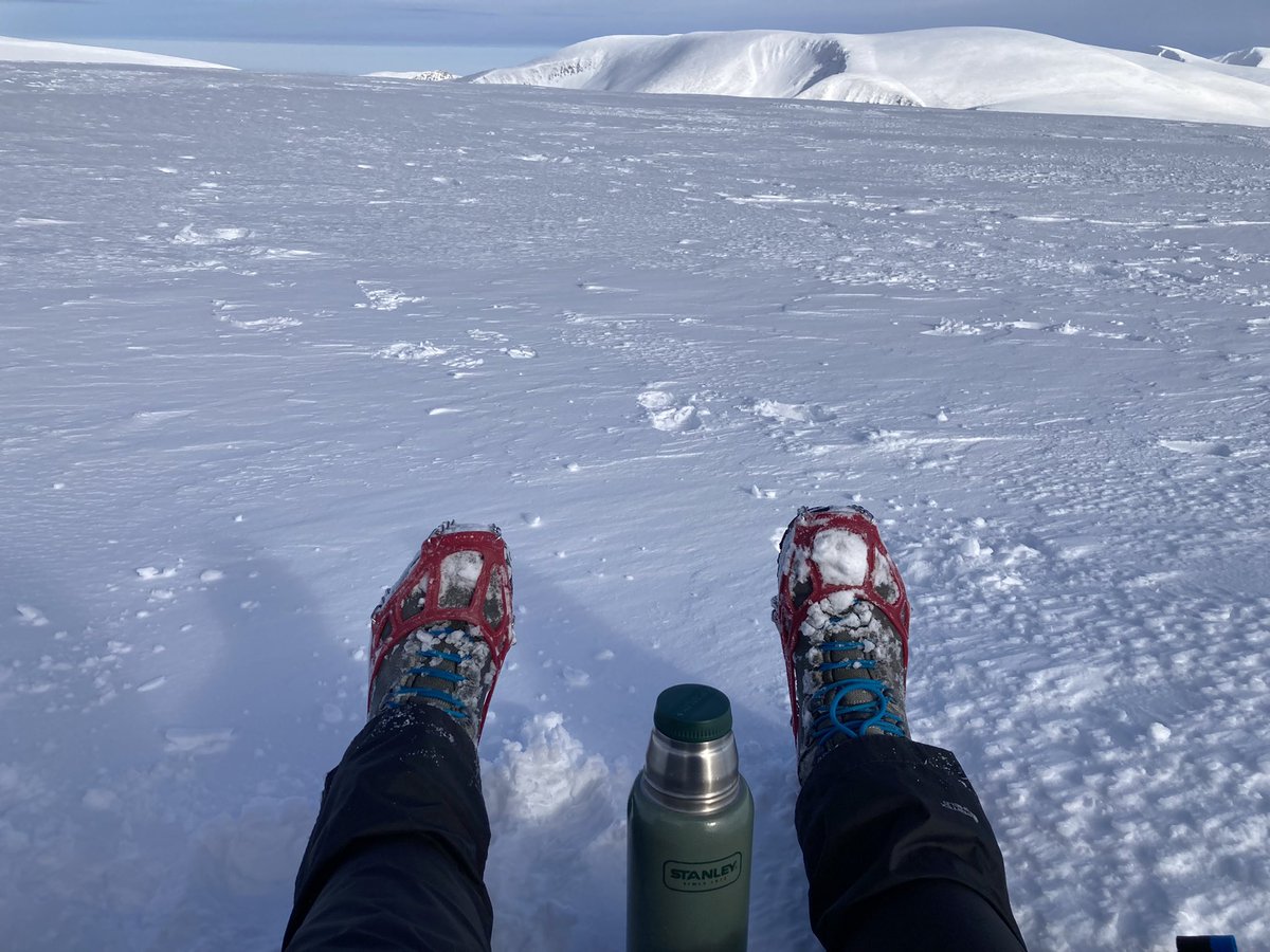 mountainringlet's tweet photo. The Cairngorms in winter - time to run, hike, ski and bike 💕 https://t.co/Y4TzwnR94h