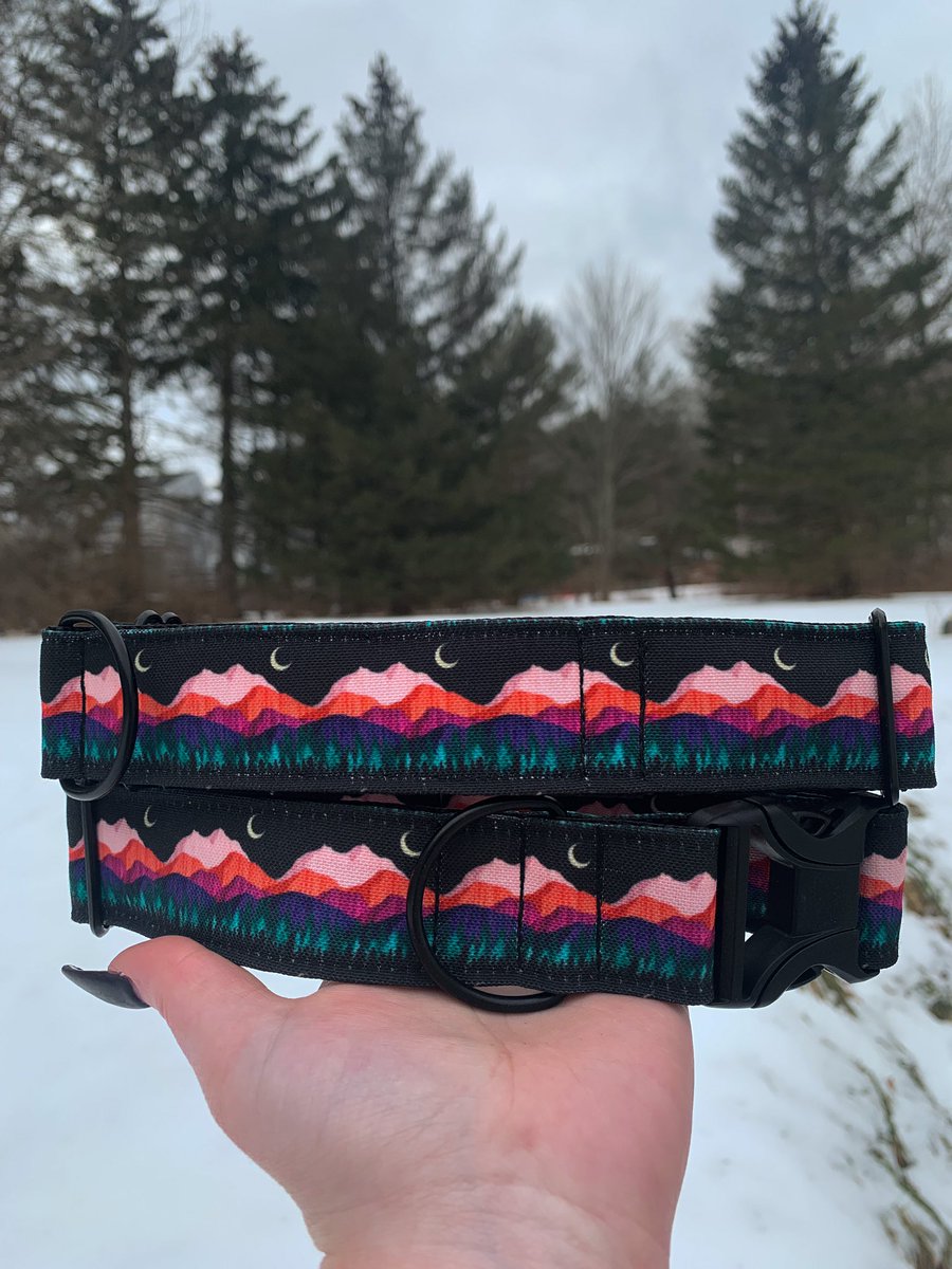 Beyond the Trail | Nicole tweet media