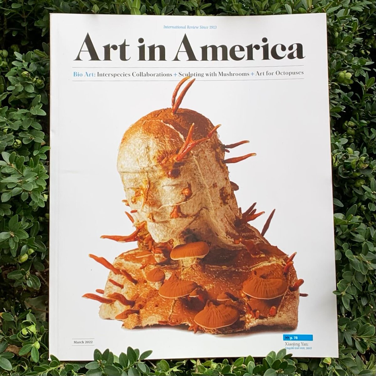 Art in America tweet media