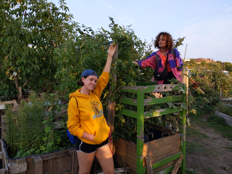 opensrcgardens's tweet image. Open Source your garden this year! 

Spring is around the corner and we send out another round of starter kits with tasty varieties of #OpenSourceSeeds to help you create a beautiful #OpenSourceGarden.

Order seeds &amp;amp; join our community: opensourcegardens.info/order-seeds.en…

#solarpunk