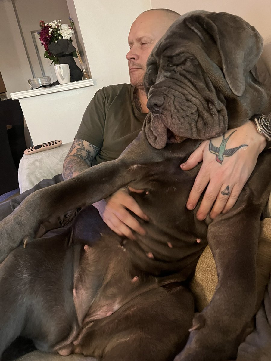 Mabel-the-Neo tweet media