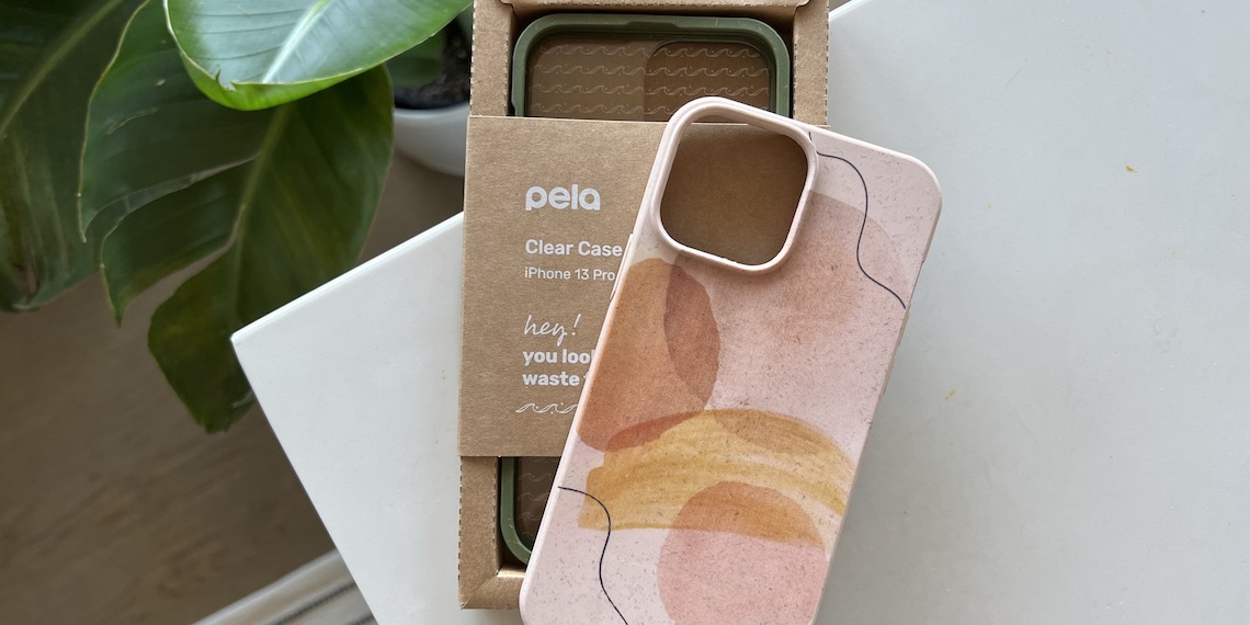 Vanessa Choot tweet media