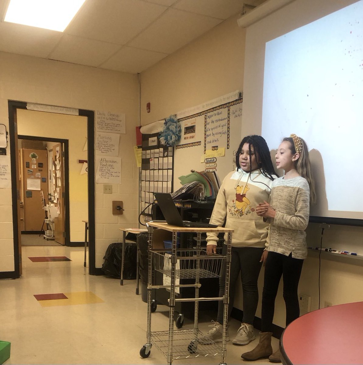 MrsChucksa's tweet photo. Students provided arguments to help endangered and threatened species in Ohio. https://t.co/b9iZaMVj8B
