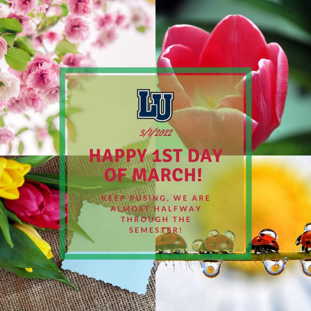 CareerCenterLU's tweet photo. It's the first of the month! Happy March to everyone, and make this the best month of 2022 yet! Keep pushing Lincolnites, we are halfway through the semester!
#March2022 #firstofthemonth❤️ #springtime #midtermszn #happytuesday https://t.co/8lB1ZA0CEa