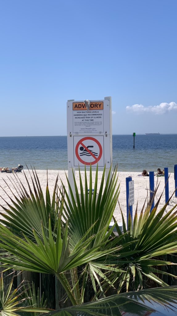 katy_crews's tweet photo. .@DOHHillsborough, is this sign current? No swimming already? #BahiaBeach https://t.co/KDjQsegOEG