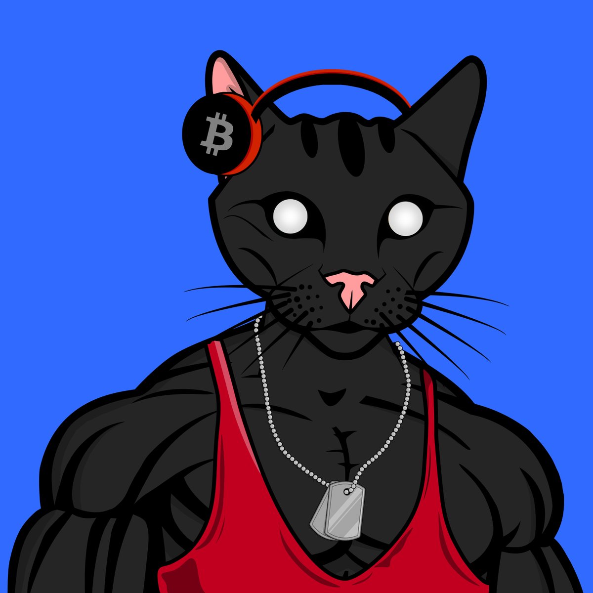 The Fit Cat Club tweet media