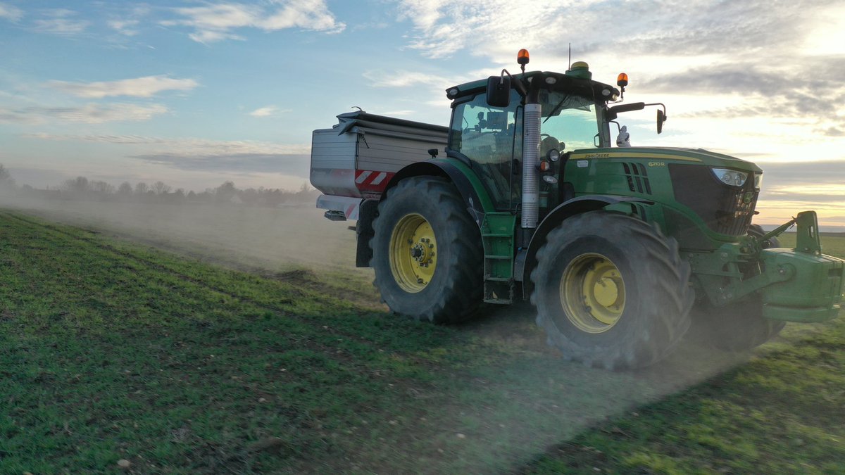 Blé derrière haricots semences. Ça pousse semis HR sans packer volé plus soc. Comme le reste de ma sol #blé2022 🌾😉