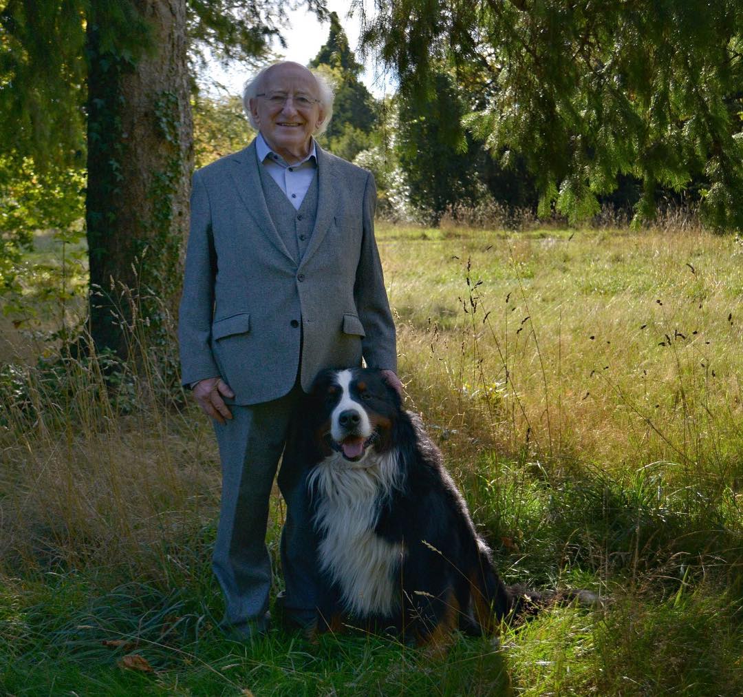 TG4TV's tweet photo. 🐶 https://t.co/q8D0SKBFmr