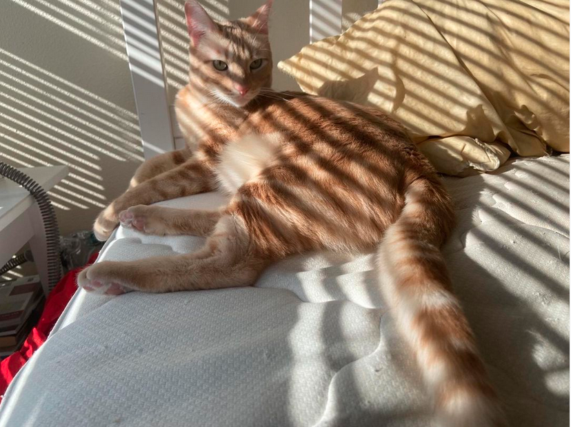 John Draper tweet media