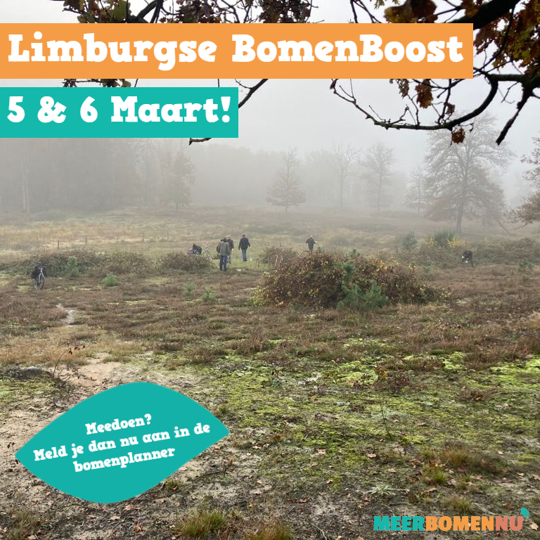 MeerbomenN's tweet photo. IPPC rapport gelezen en zin om wat te doen? Komend weekend kan je weer op veel plekken helpen! Zo is er de Limburgse Bomenboost: in één weekend zoveel mogelijk bomen planten! Kom in actie!! https://t.co/FOUwqa5Udf https://t.co/QDOvVOepoi