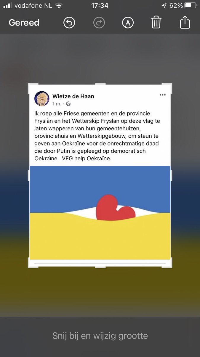 wietze tweet media