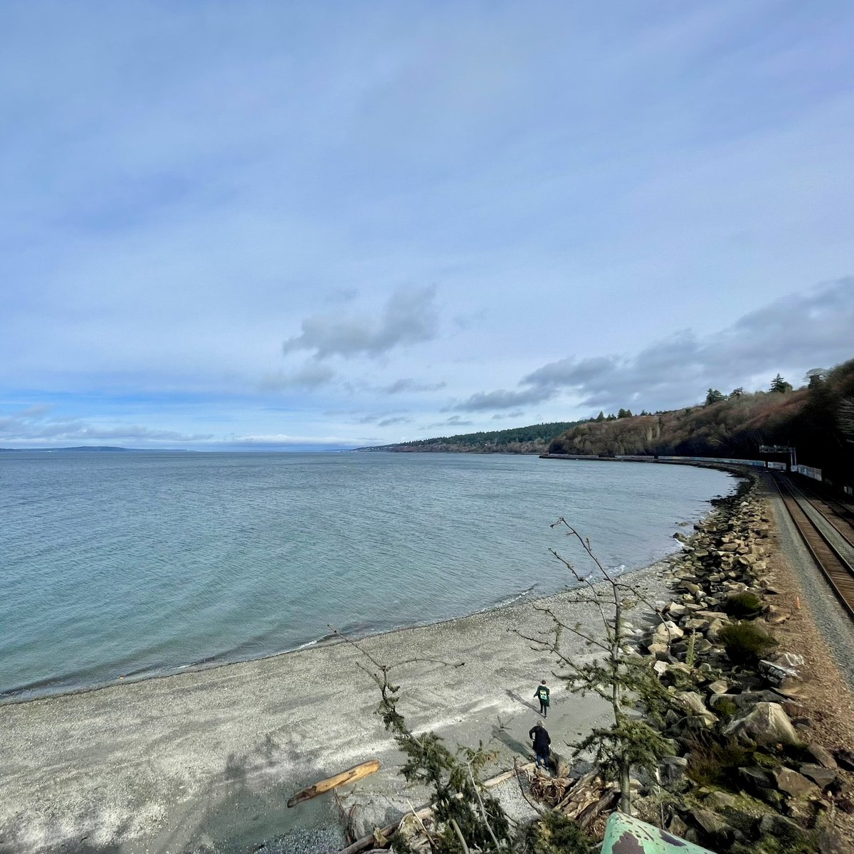 madmscientist's tweet image. For the #OSM22 #VirtualFunRun, it only felt right to go to my local beach wearing my #SeaIce buff ❄️