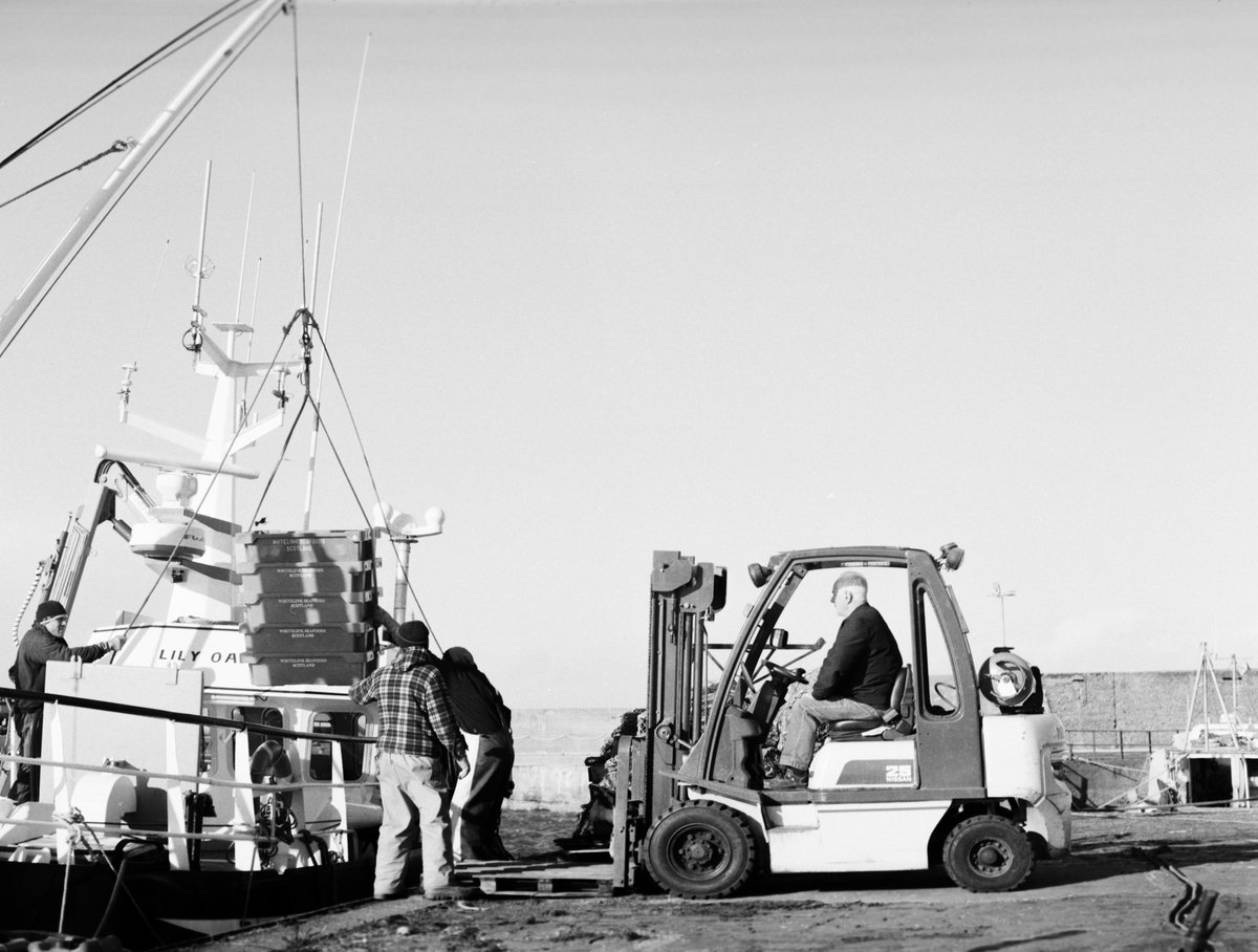 Patrick__Gordon's tweet image. Some new pics from my ongoing project at Cockenzie and Port Seton Harbour. 
Picked up my colour film from the lab today... coming soon 👀
Shot with Mamiya RZ67 + 110mm lens on Ilford HP5.

#Photography #photographer #filmphotography #Shootfilm #blackandwhite #Mamiya #EdNapPhoto