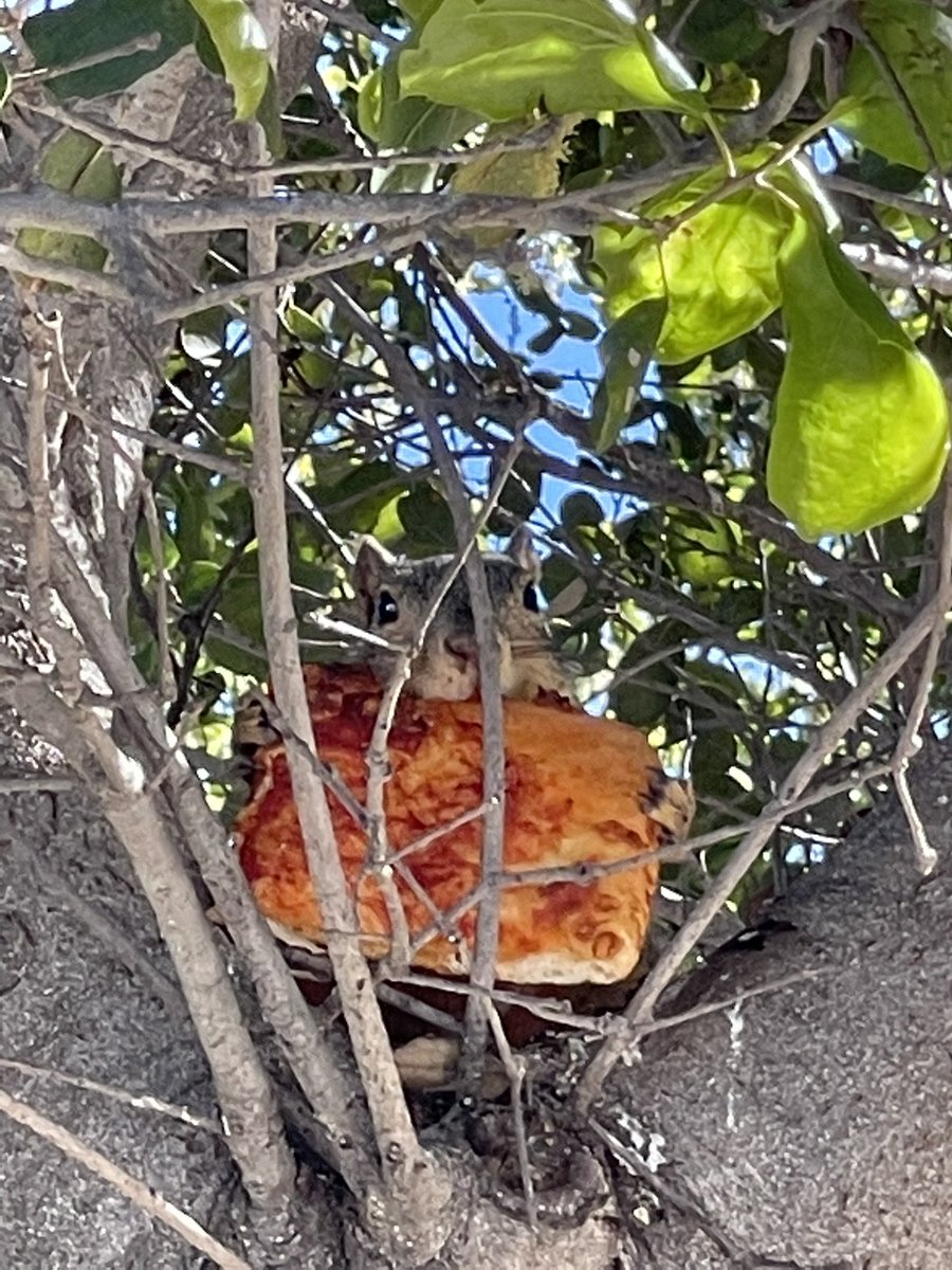 Mary Grace tweet media