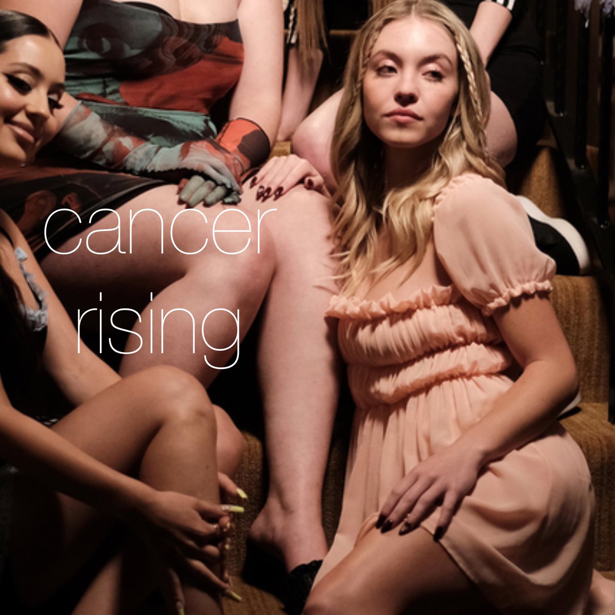 little rat girl tweet media