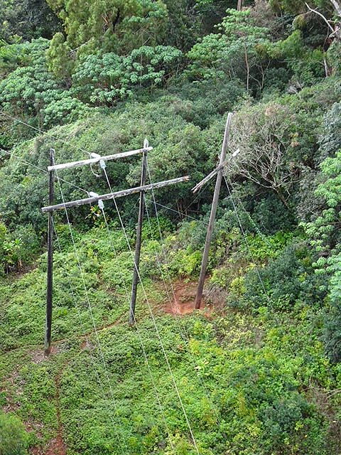 Hawaiian Electric tweet media