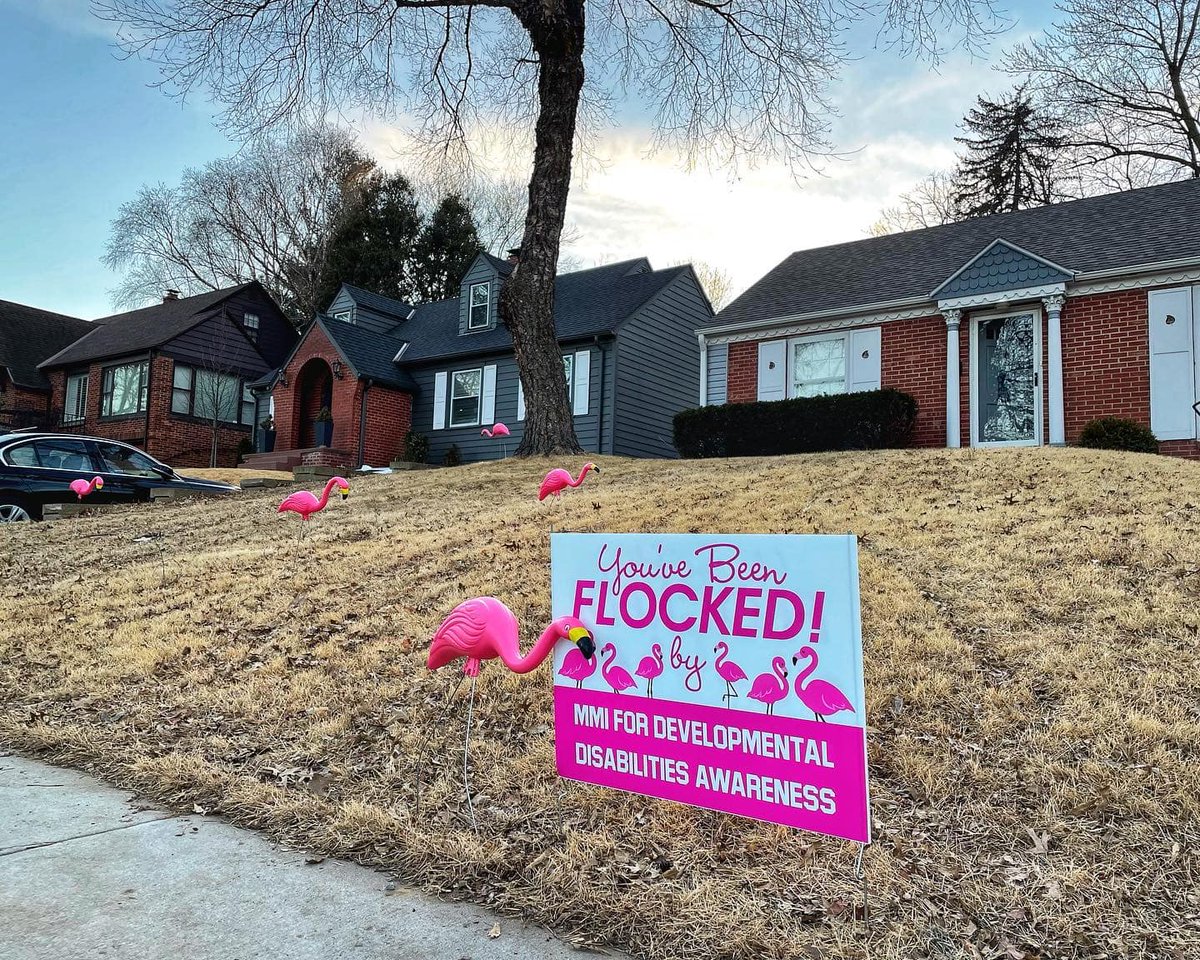 unmc_mmi's tweet photo. Developmental Disabilities Awareness Month is here!
Learn more about MMI's #FlamingoFlocking fundraiser at https://t.co/Q34w0z6vNu
🦩 #DevelopmentalDisabilitiesAwareness
🦩 #DDawareness https://t.co/kfnaplgfCx