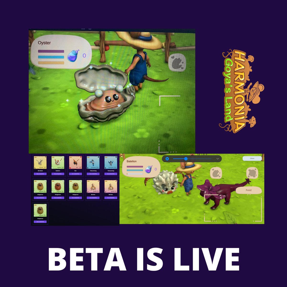 Harmonia Goya's Land 🌳 tweet media