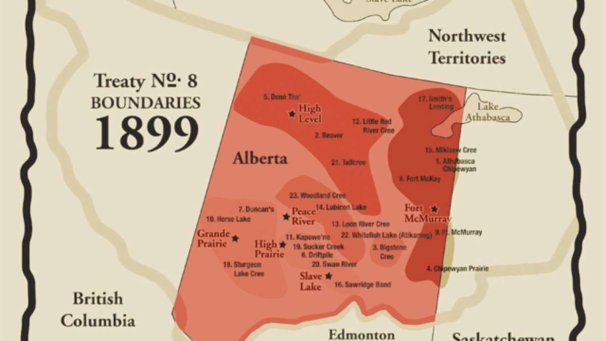 CREE HOMO 🌾 tweet media