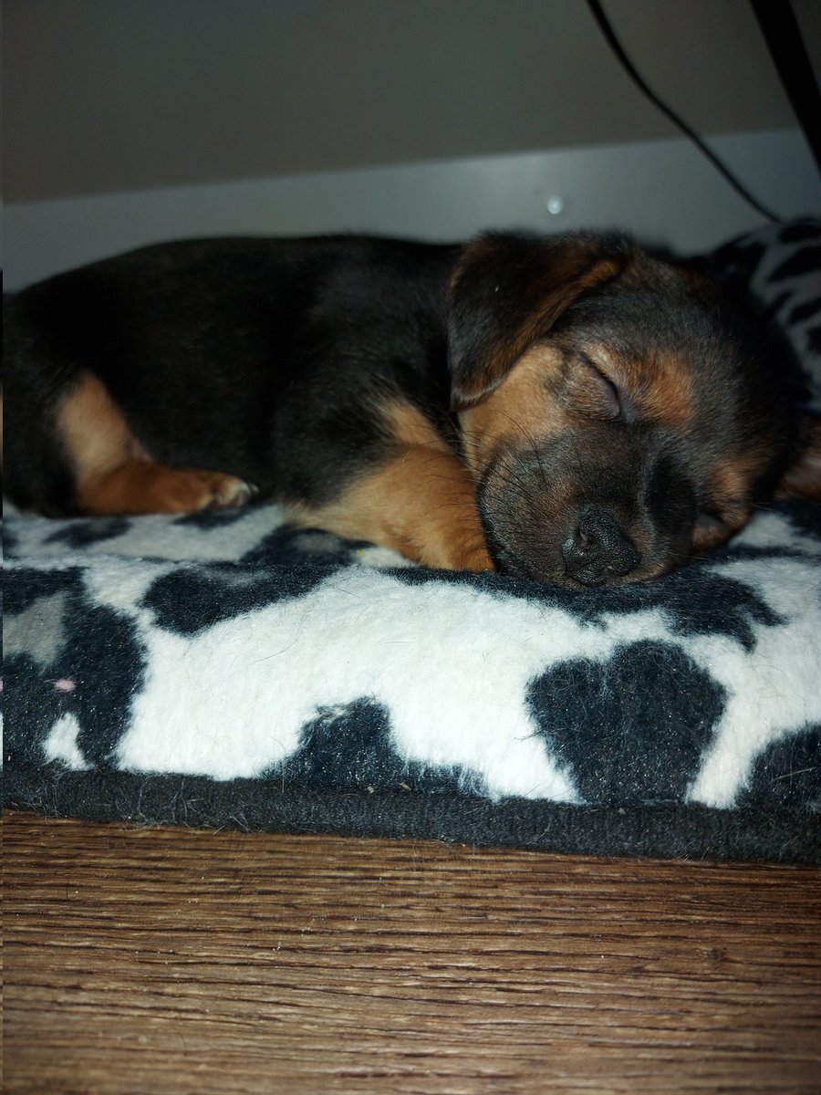 Inge ✍ tweet media