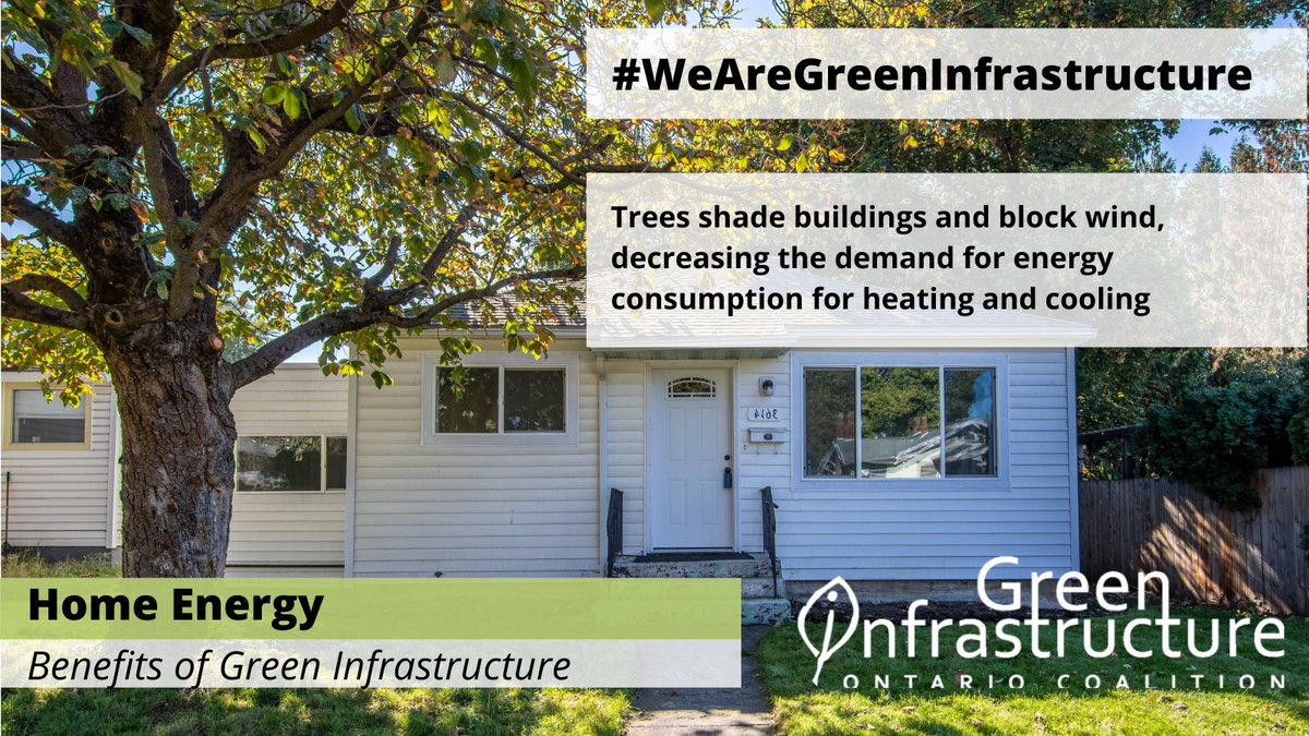 Green Infrastructure Ontario Coalition tweet media