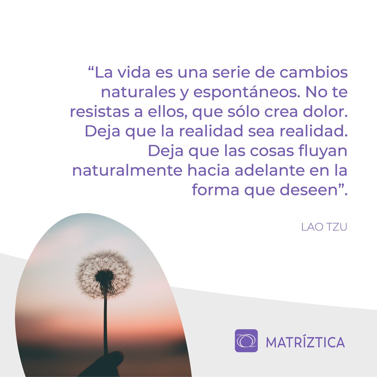 Le damos la bienvenida al mes de marzo y sabemos que puede ser un mes algo difícil... Desde Matríztica les deseamos lo mejor a cada un@ de ustedes. Queremos acompañar este inicio con una pequeña frase del filósofo chino Lao Tzu.
¿Cuáles son sus metas de este mes? 🧗‍♀️