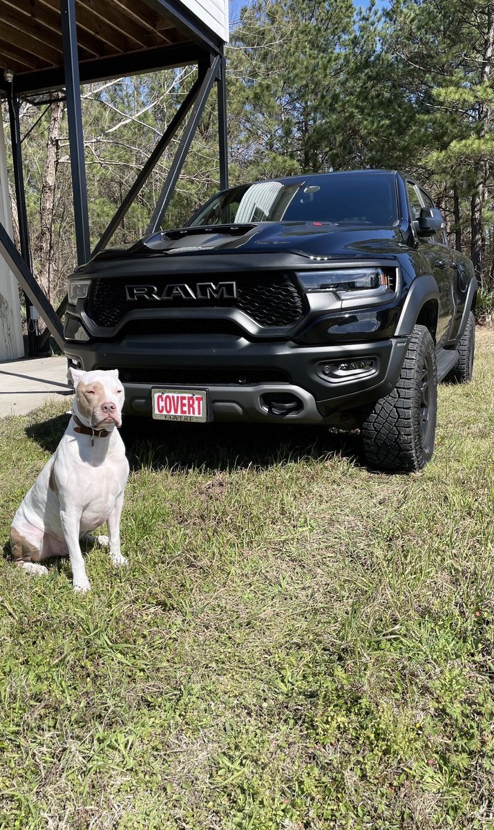 LexiSimpsonn's tweet image. Got my Rex Rex.. and my TRX.😎

Roofing.. with style