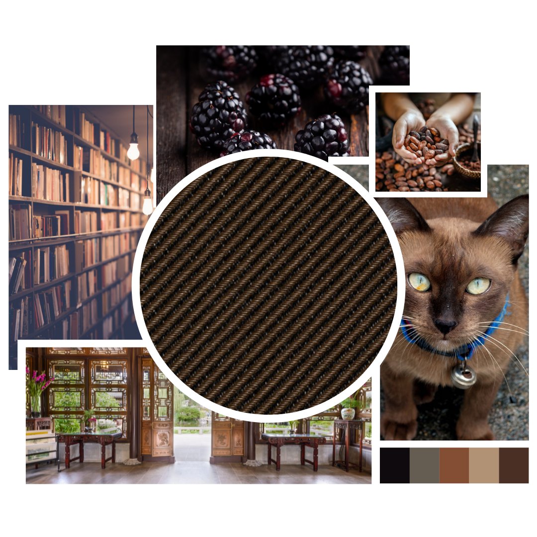 New hues to 🤎

Featured Fabric: Satiné™ in Charcoal | Cocoa

Order FREE samples at MermetUSA.com!