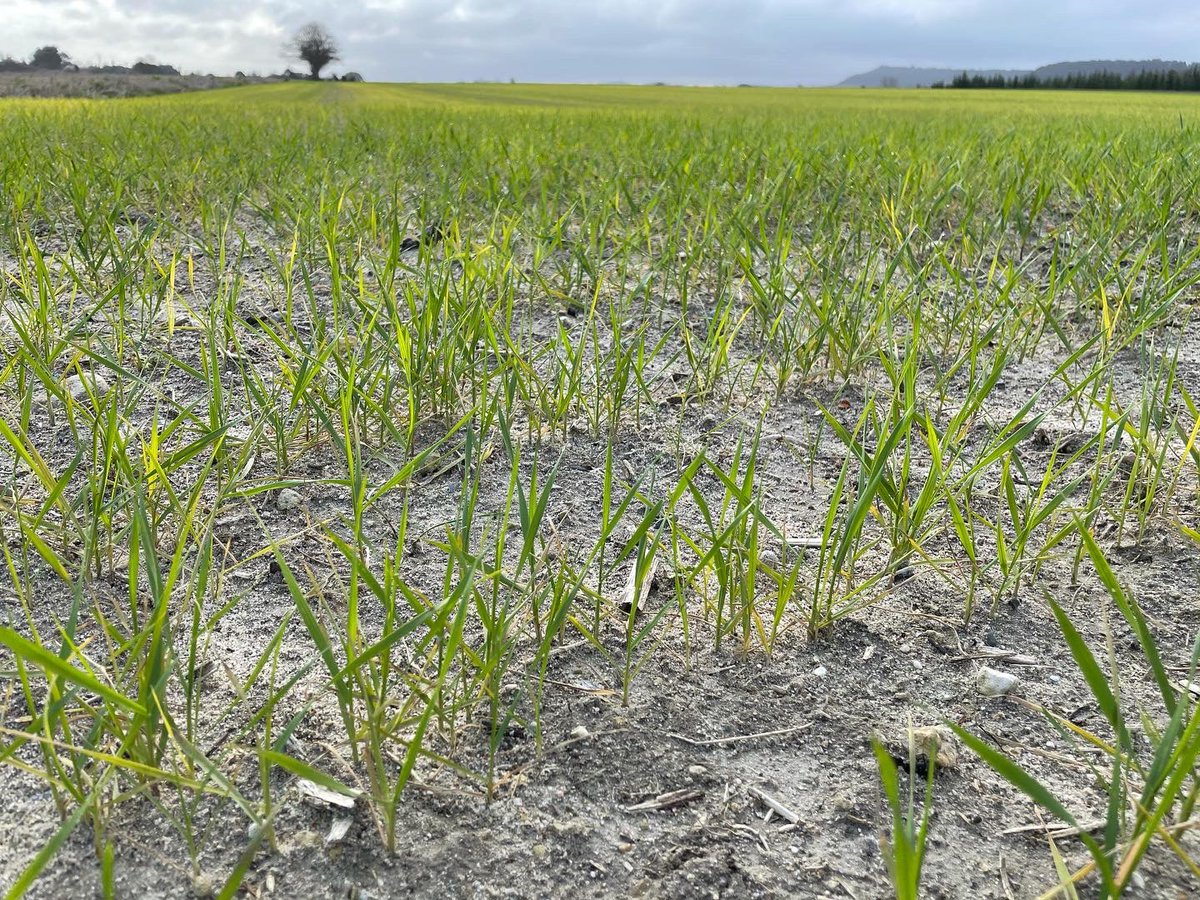 Matthieu Killmayer tweet media