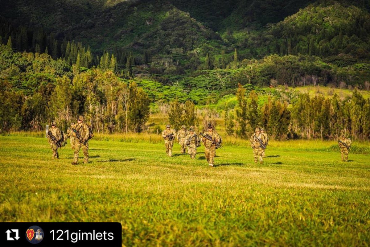25thID's tweet photo. #LethalWarriors Our 121 Gimlets 🐊 Gator Company executed an air assault to begin their squad live fire exercise (LFX), showcasing the Gimlet Battalion’s ability to rapidly deploy combat power across the battlefield.

@2IBCTWarriors 
@USARPAC 
@I_Corps 
@INDOPACOM https://t.co/DzmMdjlGE0