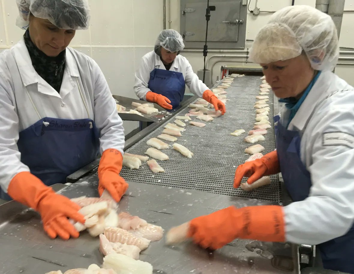 CBC Newfoundland and Labrador (@cbcnl) on Twitter photo NEW | Major Newfoundland cod processor drops Russian imports
cbc.ca/1.6368728 NEW | Major Newfoundland cod processor drops Russian imports
cbc.ca/1.6368728