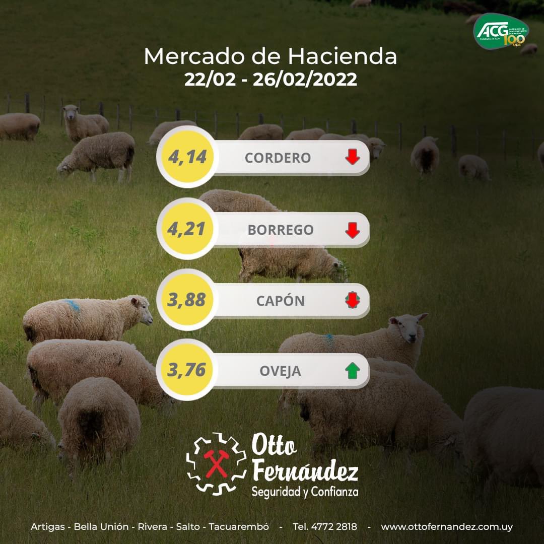 escritorioottof's tweet photo. Comentarios Semana Nº08 -  2022:

Vacunos: manteniendo el buen nivel de actividad, demanda firme.

Ovinos: con buena demanda, mercado dinámico para todas las categorías.

𝘖𝘵𝘵𝘰 𝘍𝘦𝘳𝘯𝘢́𝘯𝘥𝘦𝘻 - "𝘚𝘦𝘨𝘶𝘳𝘪𝘥𝘢𝘥 𝘺 𝘤𝘰𝘯𝘧𝘪𝘢𝘯𝘻𝘢" 

https://t.co/WW07cJ3Na9 https://t.co/ZhKC11rTma
