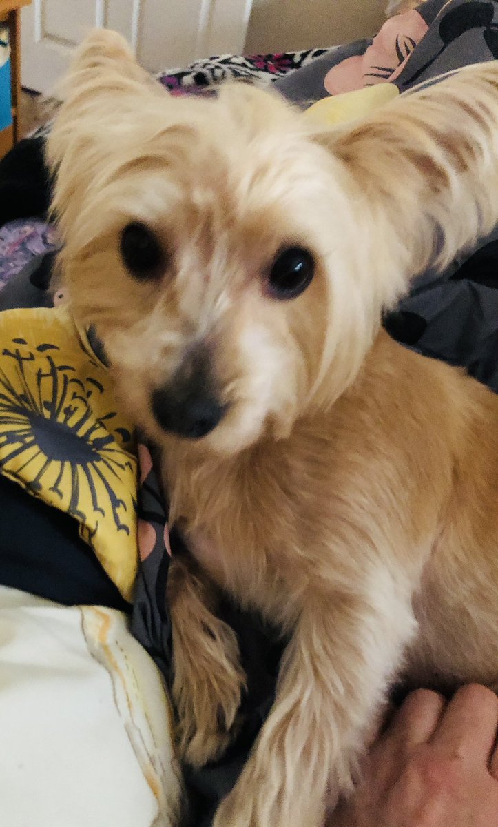 Babysitting Bailey this week