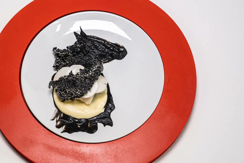 GBMofficial's tweet photo. The fish courses have been served and which chef will be going home? #GreatBritishmenu #FirstBroadcast #Coast #Balamory #ReadySteadyCook https://t.co/aP3rBMBNAx
