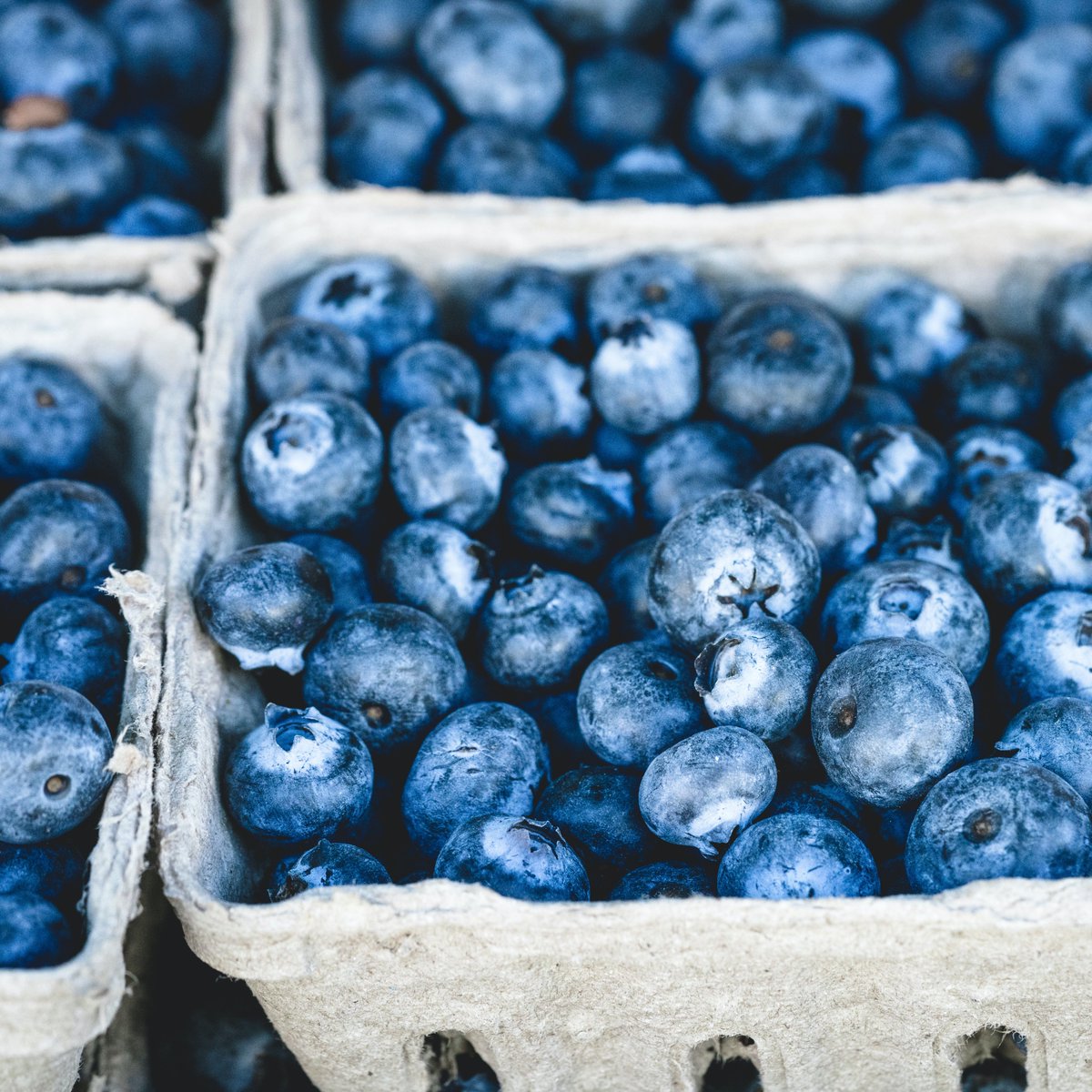 blueberries's tweet photo. A handful of #blueberries a day packs a punch that is delicious and nutritious. #positivelybluetiful #RDchat #RDeats https://t.co/jzcyaU1RZX