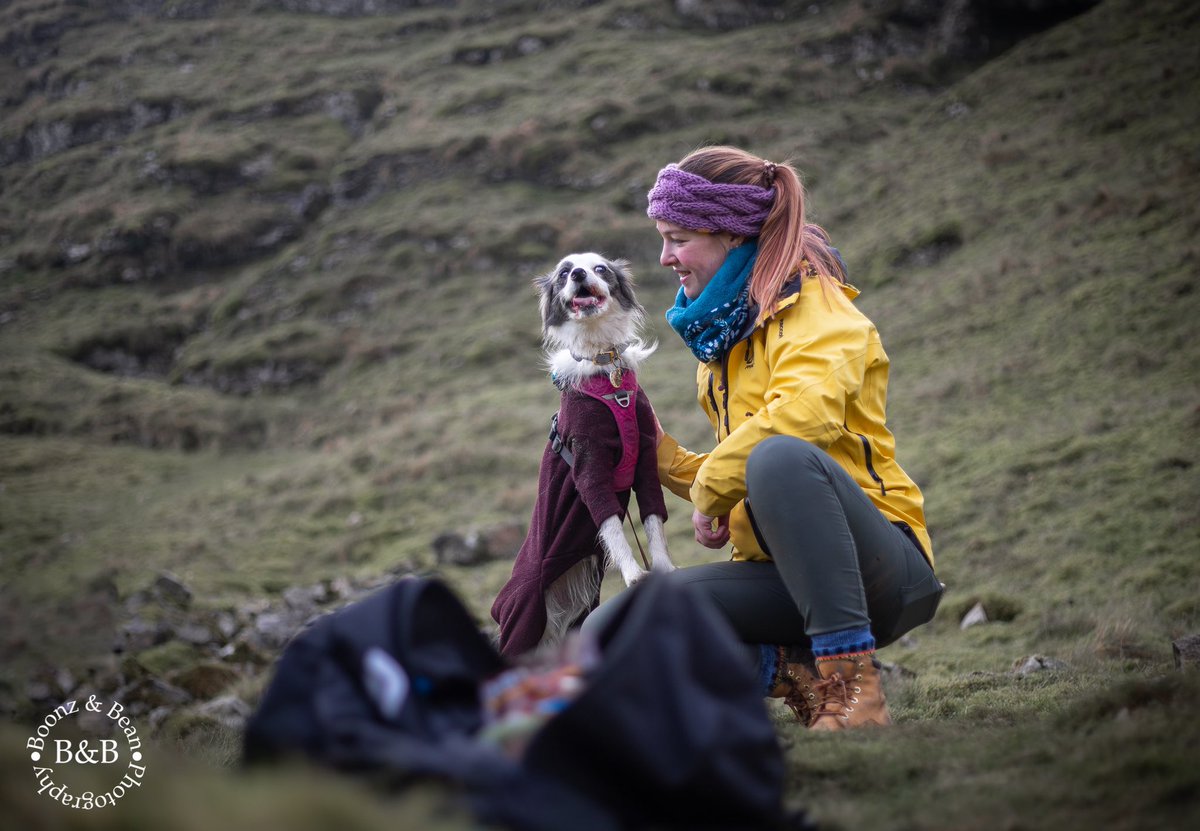 Sorry for the silence - we had a busy weekend and then spent yesterday in London celebrating my (the human’s) birthday 🥰🥳 did we miss anything exciting?#dogsoftwitter #twitterdogcommunity #birthday