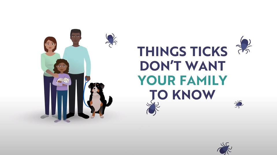 CanVetMedAssoc's tweet photo. Tomorrow: join us for a National Tick Awareness Month webinar 'One Health, Ticks, and Lyme Disease: The Integral Role Veterinarians Play' with Dr. @KatieClow1, Dr. Scott Stephenson and Dr. Michael Yabsley. https://t.co/e56zGRlhGk
#onehealth #checkforticks #tickawarenessmonth https://t.co/pqzUT7y2x4