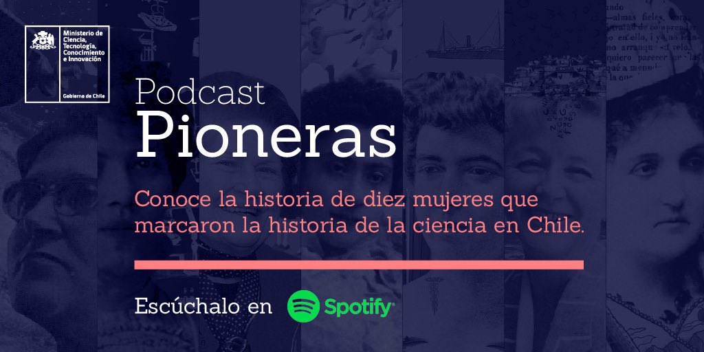 Carolina Torrealba Ruiz-Tagle tweet media