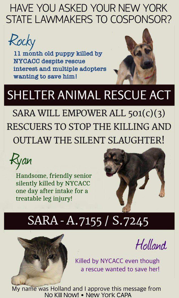 NMBewitched's tweet photo. @ASPCA is pushing a High Kill Bill in #NY
We are pushing for a Humane bill in #NY #SARA
"MentalSuffering" Each of us experiences this with every high $ ad posted by #ASPCA
Especially when we know that $ only goes to their pockets & Funding for high Kill Legislation
#WildHorses https://t.co/h6b73RX9mO