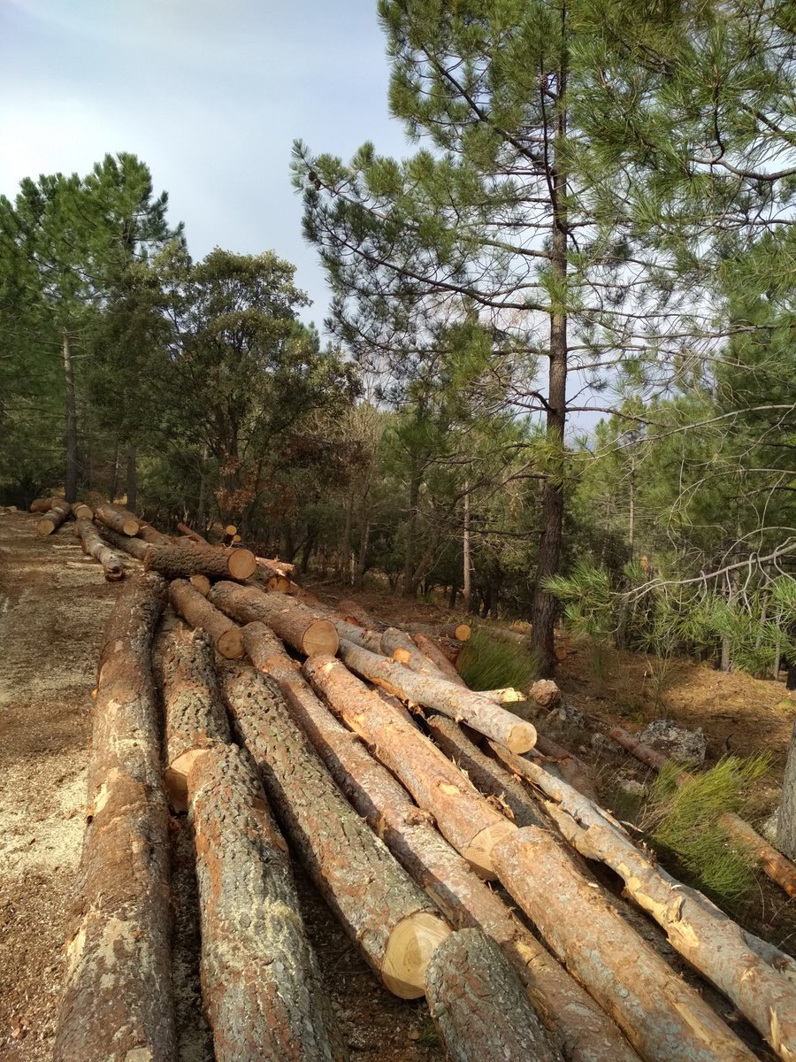 Bitterlich tweet media