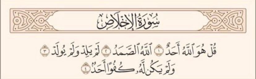 Rasha 𐦍 tweet media