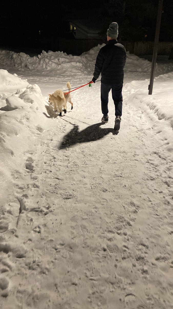 rogerapage's tweet image. Had some help with the #DirtyB’s tonight 😄 #Vladdy 👏🏼👏🏼👏🏼