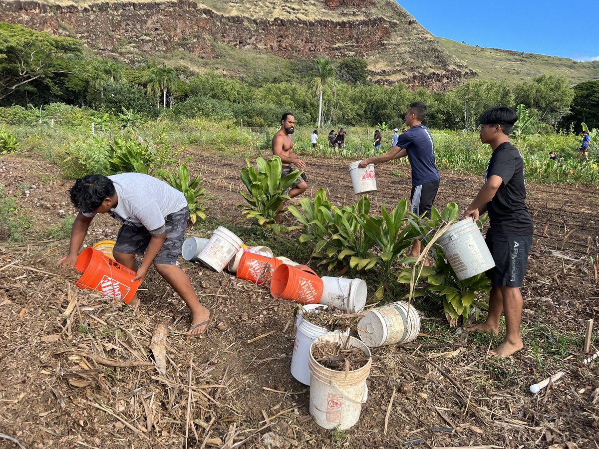 Another great WHS day! Our sophomores served their community at various sites. They thought they were helping the aina, only to realize the aina was really helping them. 🥰 <a href="/808nbcts/">Hawaii NBCTs</a> <a href="/HIDOE808/">Hawai‘i Public Schools</a> <a href="/808TFellows/">Hawaii State Teacher Fellows</a>