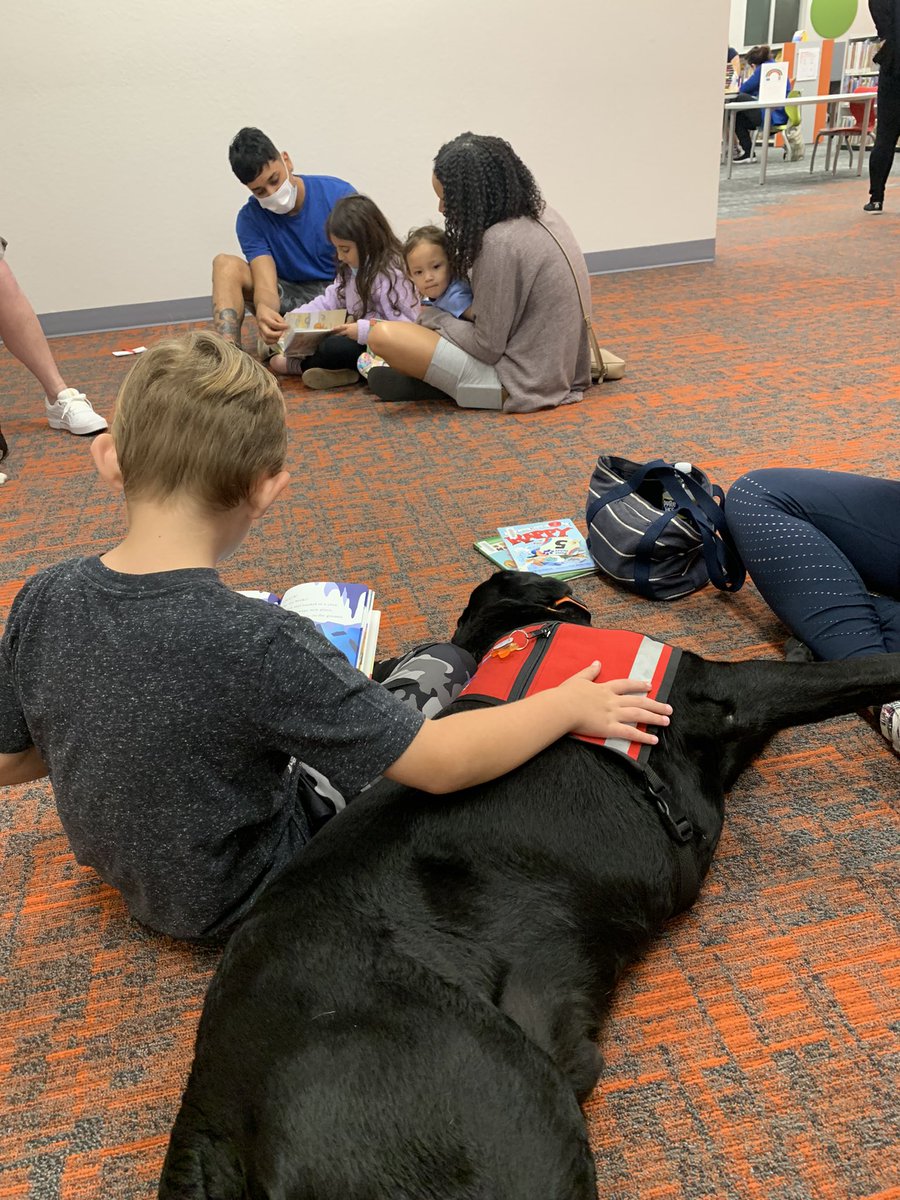 kallen4775's tweet photo. More with Cooper at Library letting kids read to him #readingpaws #dogsoftwitter #therapydogs #librarylabradors https://t.co/F7yQyAJotI